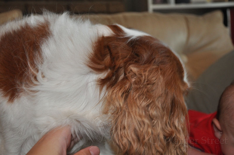 William's Tenth Week 05.jpg